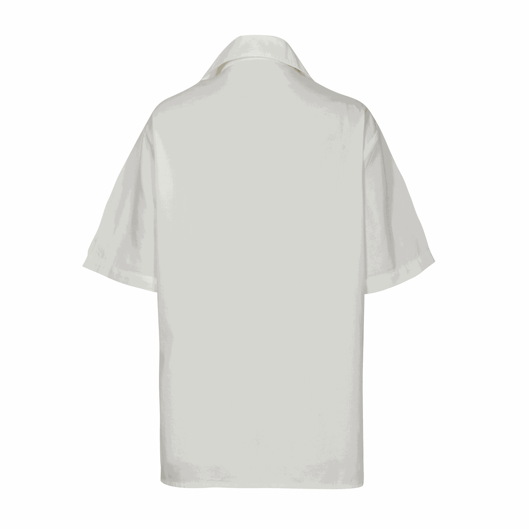 Back view of 10 Paisa Shirt